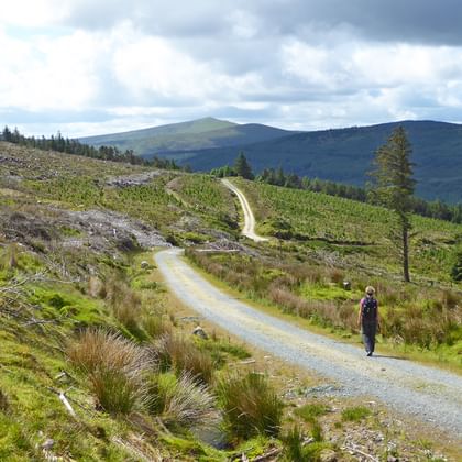Vrouwelijke wandelaar op grindpad door Wicklow Mountains landschap met glooiende heuvels, heide en bewolkte lucht in Ierland.