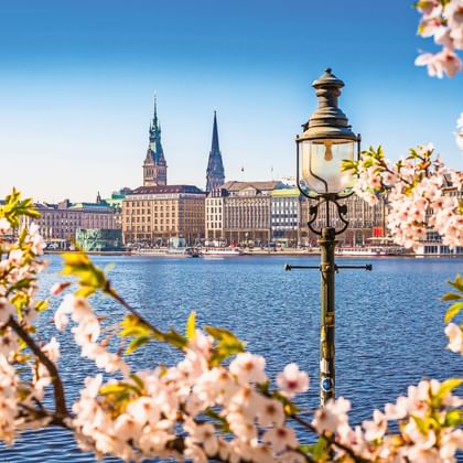 Zicht op Hamburg Binnenalster met roze kersenbloesem en historische lantaarnpaal. Skyline met kerktorens zichtbaar over het water.