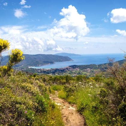 Zandpad door mediterrane vegetatie met uitzicht op Marciana Marina op Elba met blauwe zee en bergen.