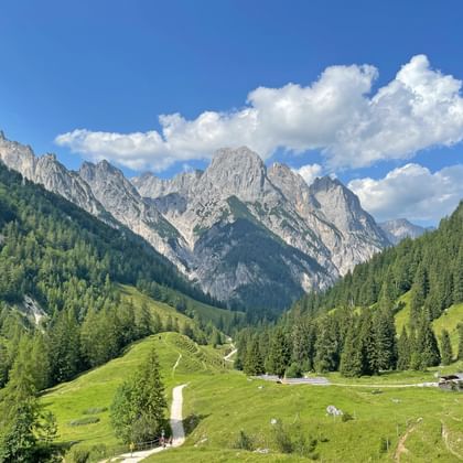 Panoramisch uitzicht op Nationaal Park Berchtesgaden met dramatische kalkstenen pieken, groene beboste valleien en traditionele houten hutten.