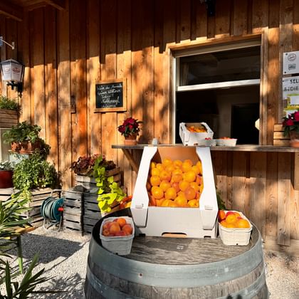 Houten boerderijkraam met verse Wachau abrikozen in witte dozen op een vat. Zelfbedieningsbord zichtbaar op rustiek gebouw met bloemen.