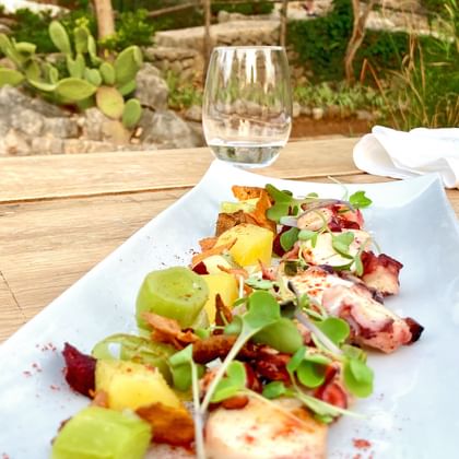 Witte rechthoekige bord met Mallorcaanse octopussalade van malse octopusstukken, gekookte aardappelen en verse groenten op houten tafel.