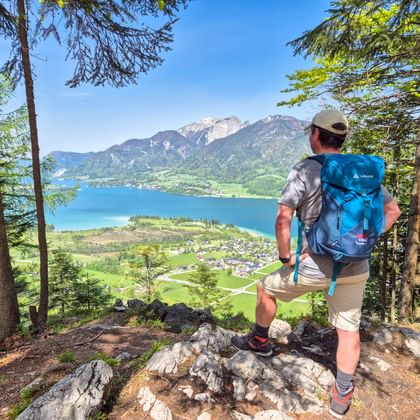 Wandelaar met blauwe rugzak staat op rotsuitstulping in bosopen plek, uitkijkend over Wolfgangsee met bergen en dorp beneden.