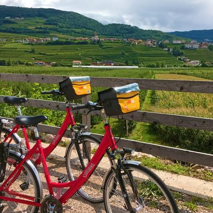 On the way to Trento along the Adige cycle path