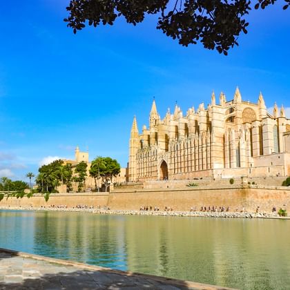 Catedral de Mallorca in Palma