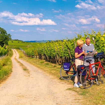 Twee fietsers met fietsen bekijken een kaart op een zandpad tussen wijnstokrijen onder blauwe lucht met witte wolken.