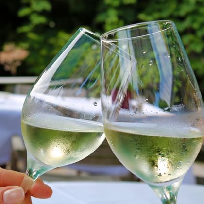 Twee handen houden witte wijnglazen vast die tegen elkaar klinken bij een toast. De glazen bevatten bleekgele wijn tegen onscherpe buitenomgeving.