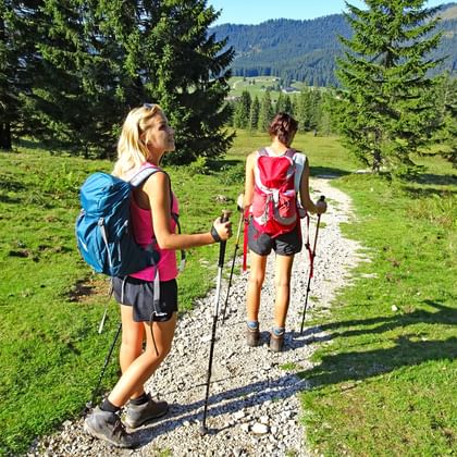 Hiking path at the Salzalpensteig