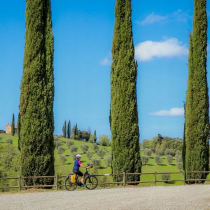 Fietser op grindweg omzoomd door hoge cipressen in Toscane. Glooiende groene heuvels met boerderij en olijfbomen op de achtergrond.
