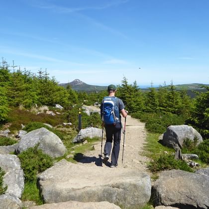 Wandelaar met blauwe rugzak en wandelstokken op stenen treden van Wicklow Way, omringd door grote granietblokken en groene vegetatie.