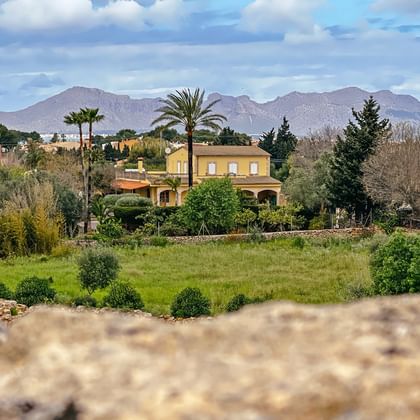 Foothills of the Serra de Tramuntana