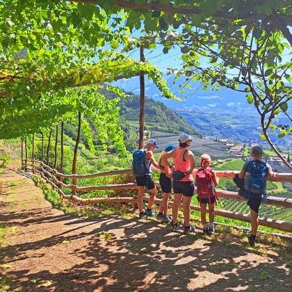 Familie met rugzakken op houten uitkijkplatform langs Meran Waalweg pad, uitkijkend over Alpendal met wijngaarden en bergen.