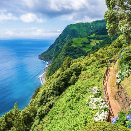 Wandelpad op São Miguel, Azoren, omzoomd met blauwe en witte hortensia's. Pad volgt steile groene kliffen met uitzicht op de Atlantische Oceaan.