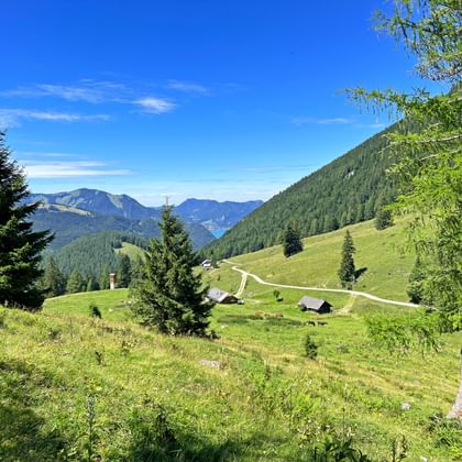 Panoramisch uitzicht op groene alpenweiden in Salzkammergut met traditionele houten hutten, kronkelende onverharde weg en beboste bergen.