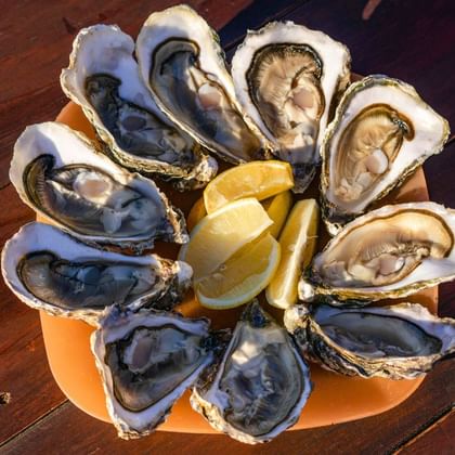 Twaalf verse oesters gerangschikt op oranje bord met citroenpartjes in het midden, geserveerd op houten terras langs GR34-kustroute in Bretagne.
