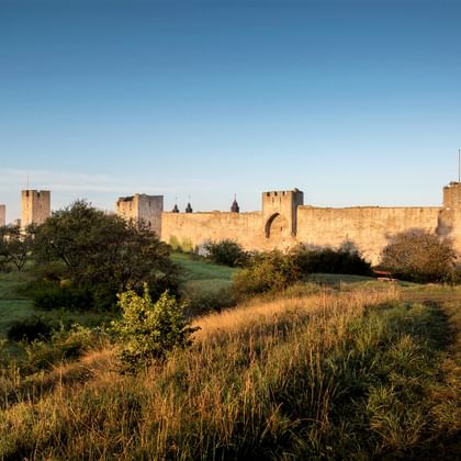 as-gotland-stadsmuur-visby-zweden