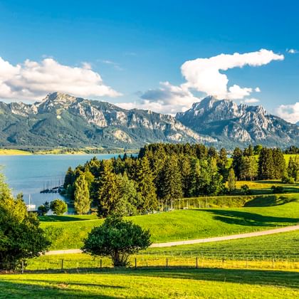 Groene weiden en bossen langs het Forggensee bij Füssen, met dramatisch Alpengebergte onder blauwe lucht met witte wolken.