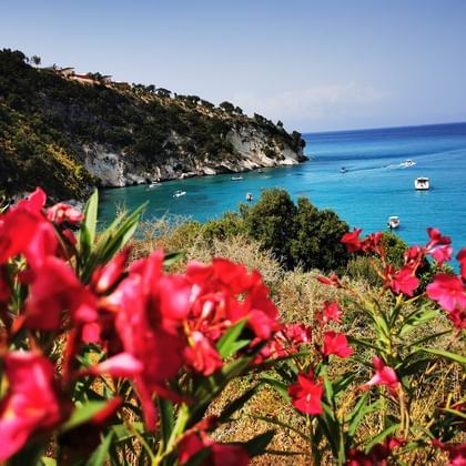 Kefalonia-Ionische-Eilanden-Griekenland