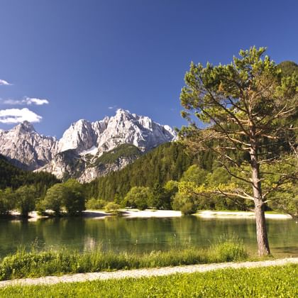 bergen-parels-van-slovenie-helia