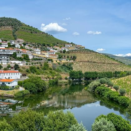 Dorp Covelinhas op terrasvormige hellingen langs de Douro in Portugal, met witte huizen en wijngaardterrassen weerspiegeld in kalm water.