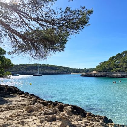 Schilderachtige baai in Porto Colom, Mallorca met turquois water, rotsachtige kust, pijnbomen, zeilboot en groene heuvels onder blauwe lucht.