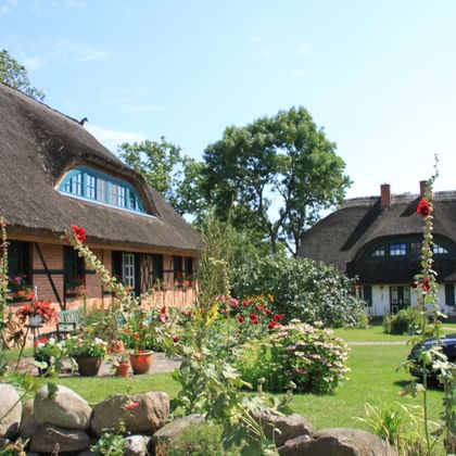 Twee traditionele rieten huizen op Rügen met vakwerk, omgeven door kleurrijke tuin met rode stokrozen en groen gazon.