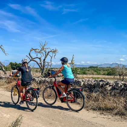 Twee fietsers op een onverharde weg op Mallorca met stenen muren, kale bomen en bergen onder een blauwe lucht.