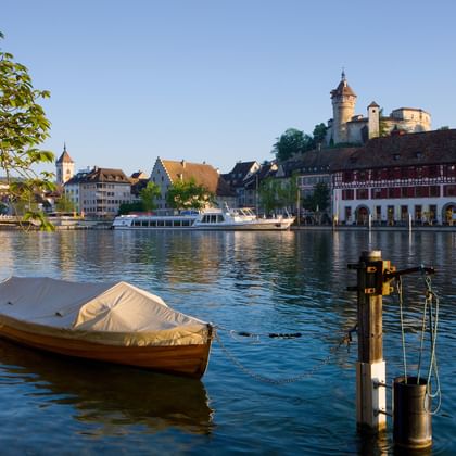 via-rhenana-wandelen-basel-panorama