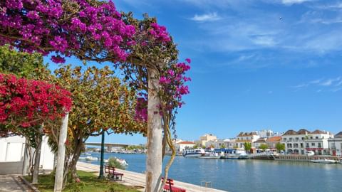 Ausblick auf beim Sternwandern in Tavira