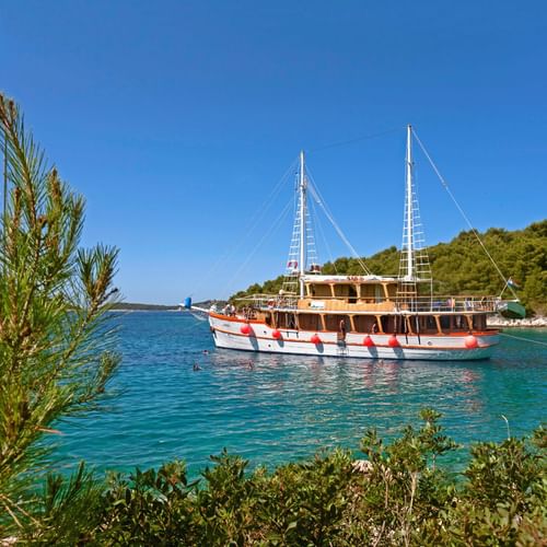 id-ms-dalmatino-kroatie