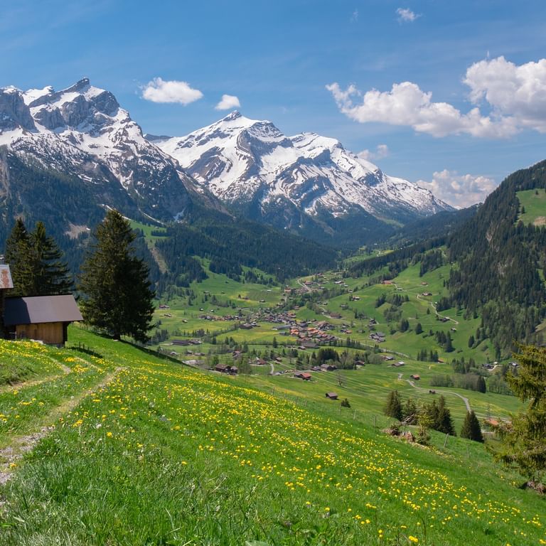 landschap zwitserland